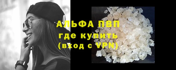 стафф Алексин